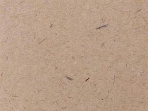  其他杂项-纸纹贴图 006 