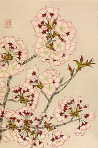  装饰画-花鸟配色 3224007 