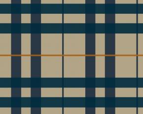  布纹-格子条纹 022 