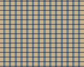  布纹-格子条纹 034 