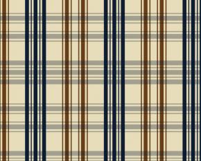  布纹-格子条纹 052 