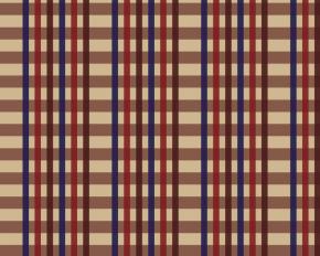  布纹-格子条纹 058 