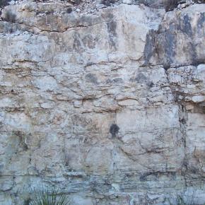  肌理 水泥 土地-石头 080 