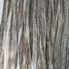  木纹木材-树皮 004 