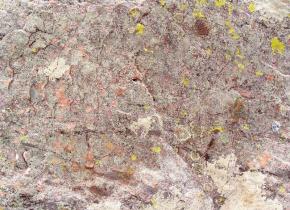  肌理 水泥 土地-石头 125 