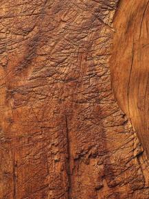  木纹木材-树皮 008 