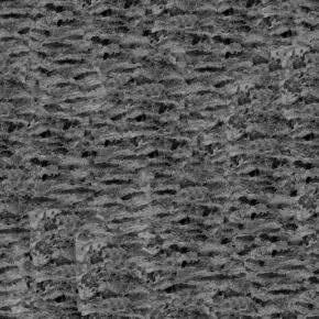  木纹木材-树皮 018 