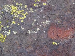  肌理 水泥 土地-水泥 152 