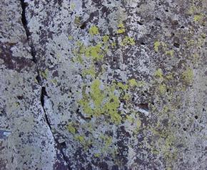  肌理 水泥 土地-水泥 169 