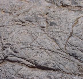  肌理 水泥 土地-水泥 171 