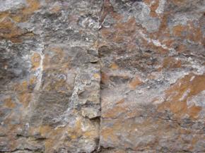  肌理 水泥 土地-水泥 173 