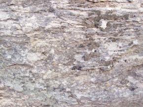  肌理 水泥 土地-水泥 178 