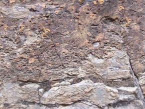  肌理 水泥 土地-水泥 185 