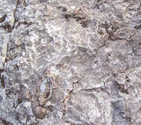  肌理 水泥 土地-水泥 187 