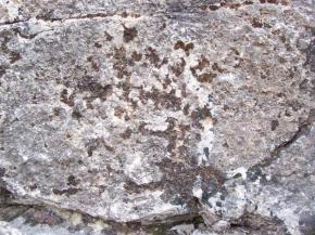  肌理 水泥 土地-水泥 188 