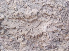  肌理 水泥 土地-水泥 193 