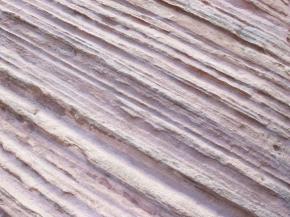  肌理 水泥 土地-水泥 200 