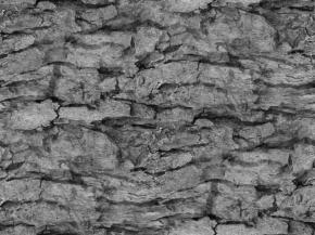  木纹木材-树皮 075 