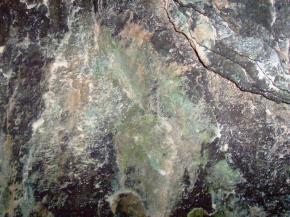  肌理 水泥 土地-水泥 231 