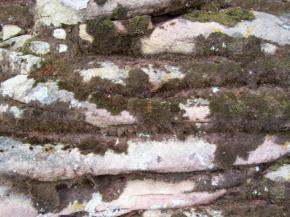  肌理 水泥 土地-水泥 266 