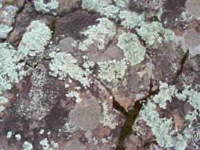  肌理 水泥 土地-水泥 267 