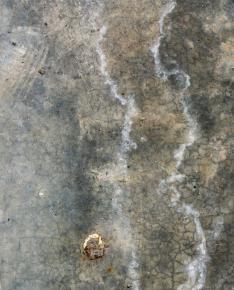  肌理 水泥 土地-水泥墙 010 