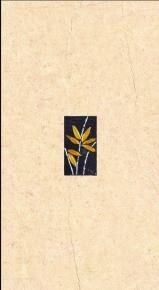  石材-室外瓷砖 032 