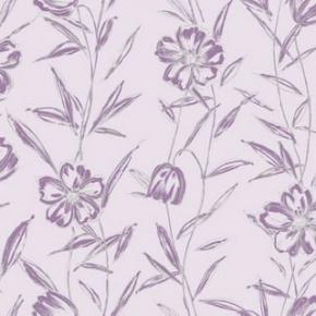  壁纸-高清壁纸 592 