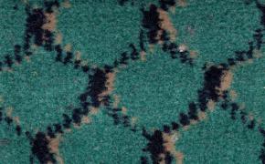  地毯-时尚花毯 133 