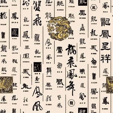 20081103_232122fe18a21d9e2642Ailcos06hxog下载