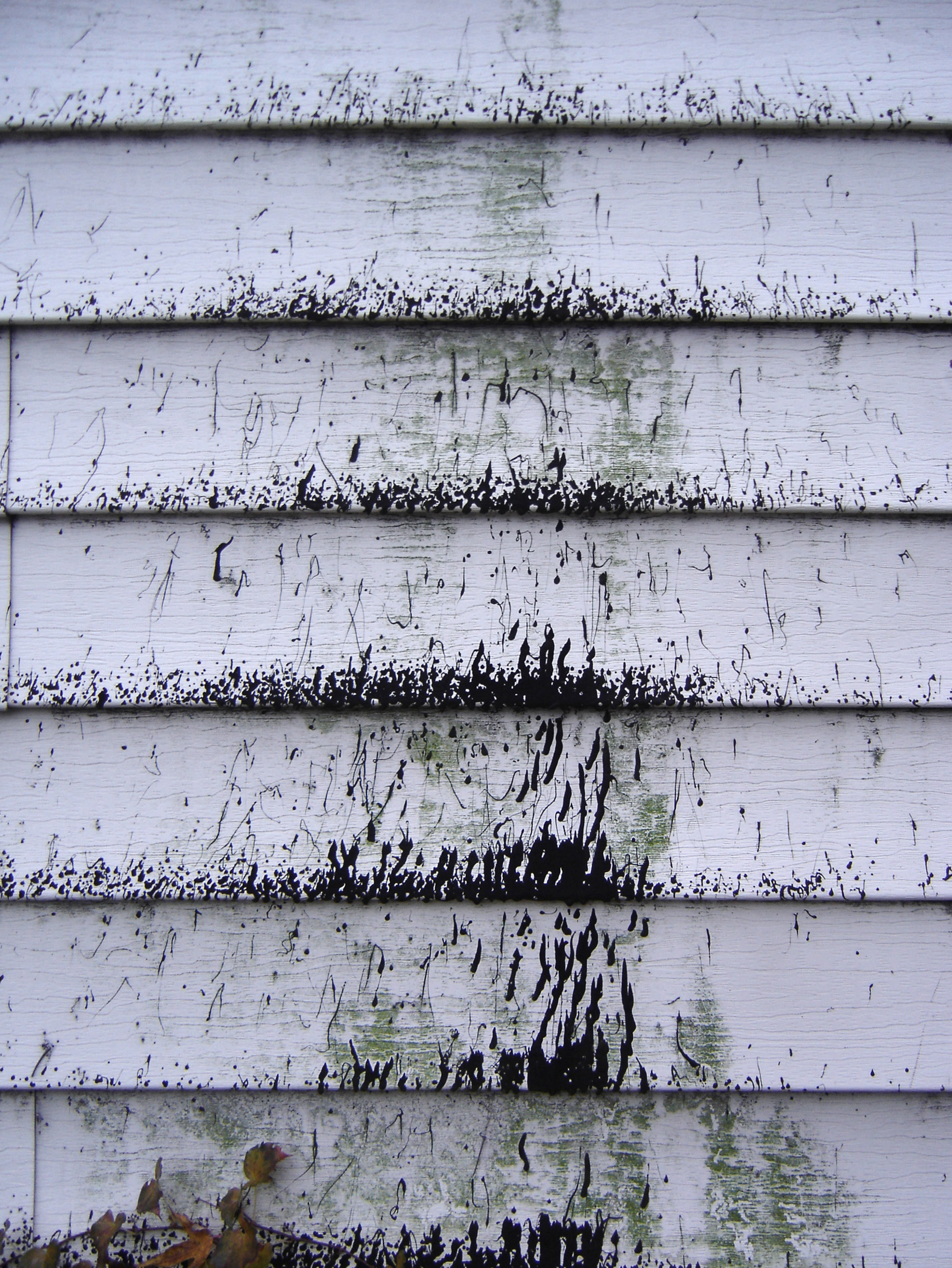 木材-胶合板-刷漆的(129)下载