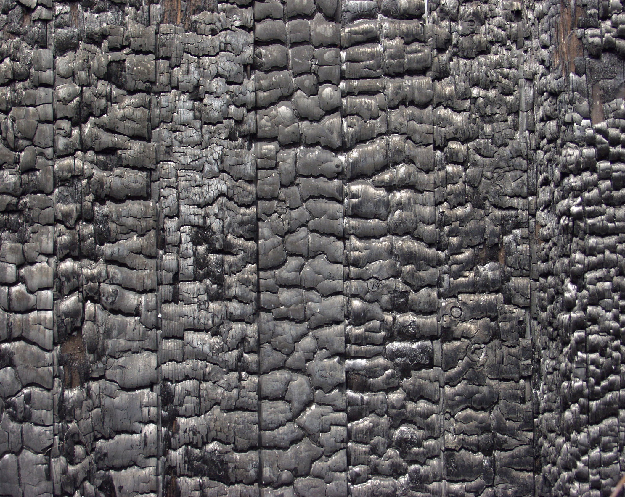 木材-燃烧过的-拼板 (4)下载