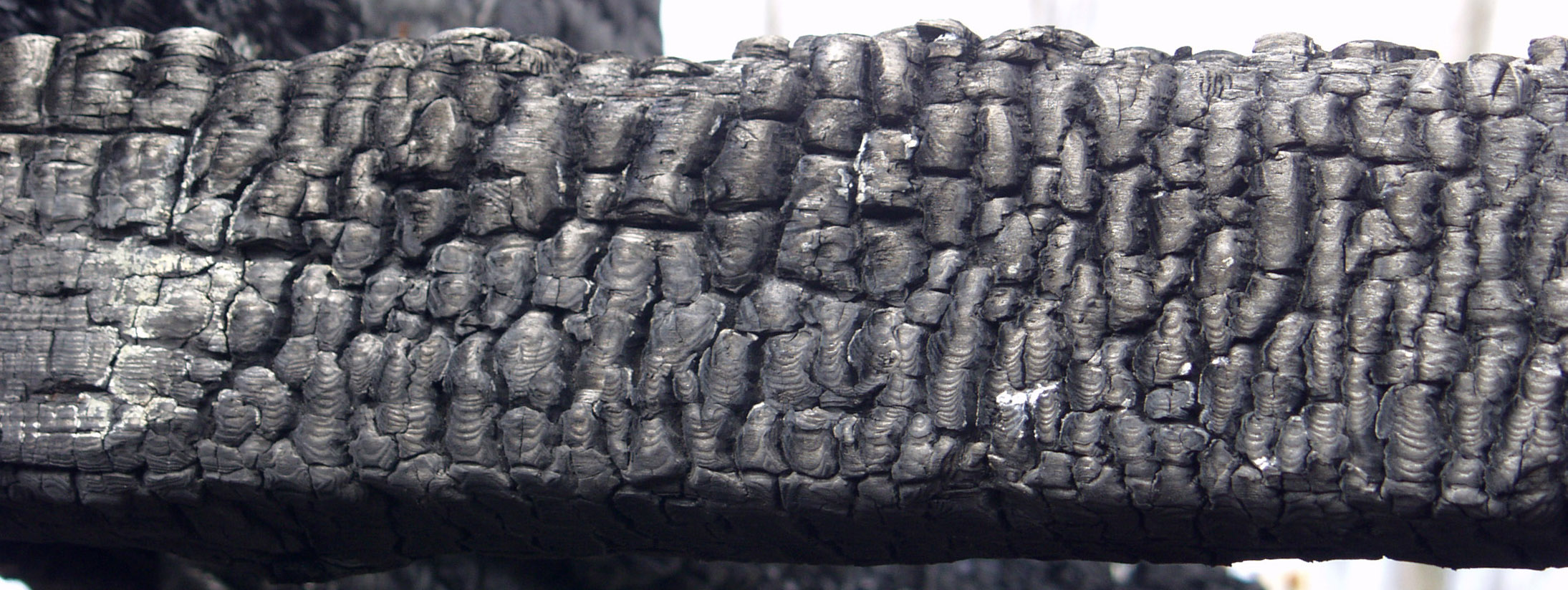 木材-燃烧过的-木梁(14)下载