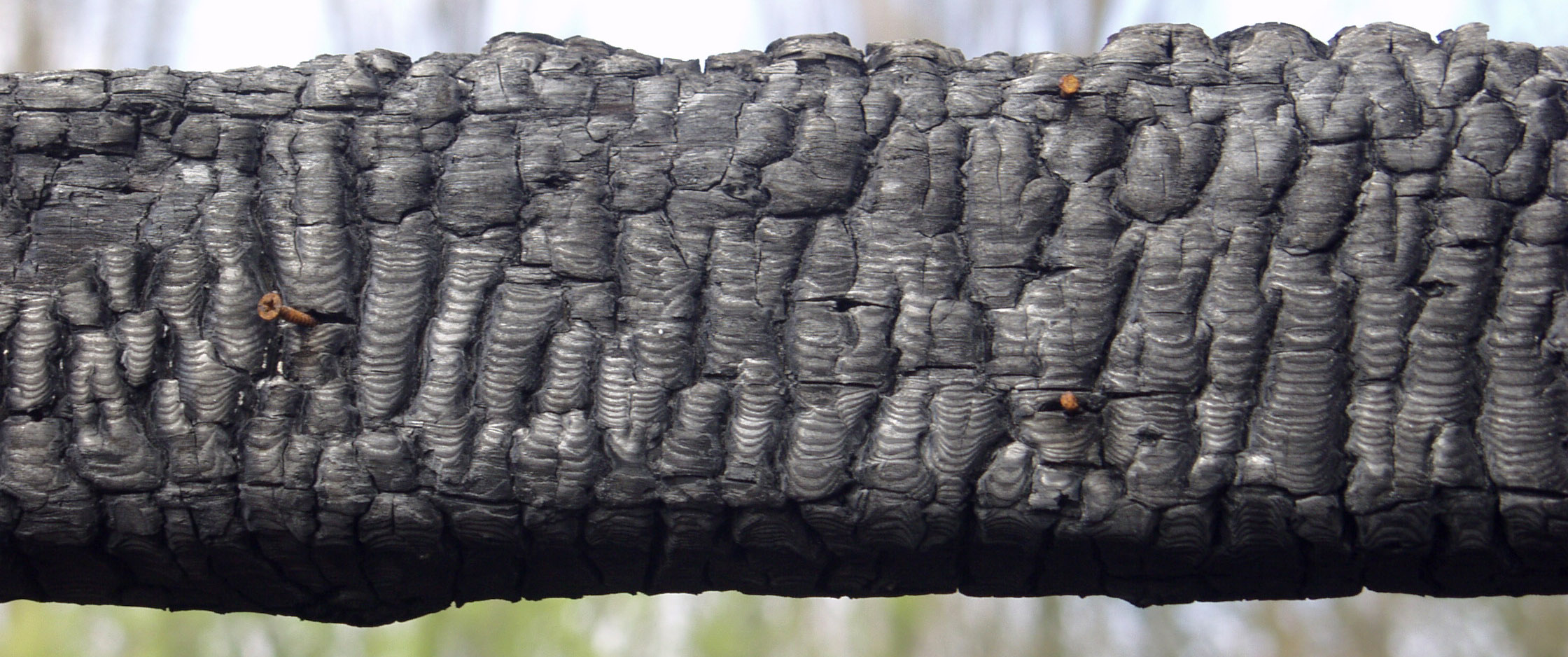 木材-燃烧过的-木梁(18)下载