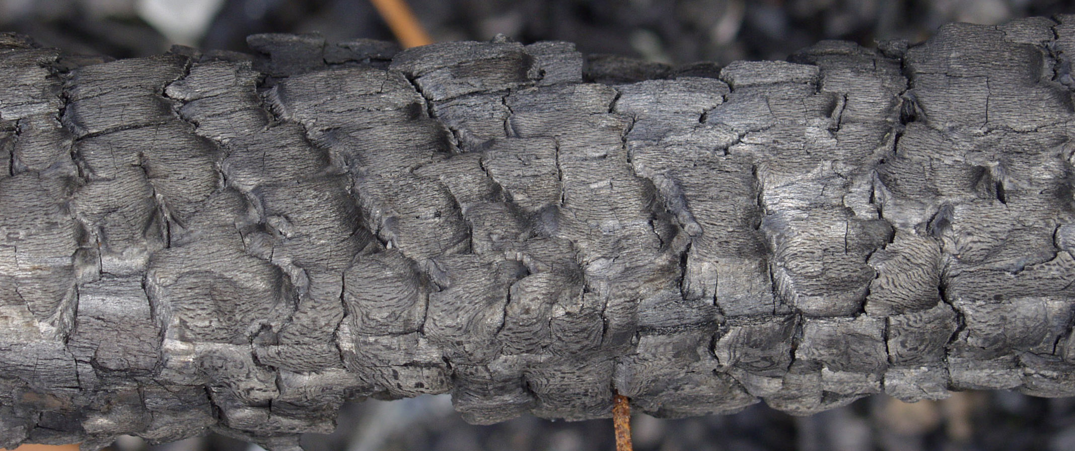 木材-燃烧过的-木梁(23)下载