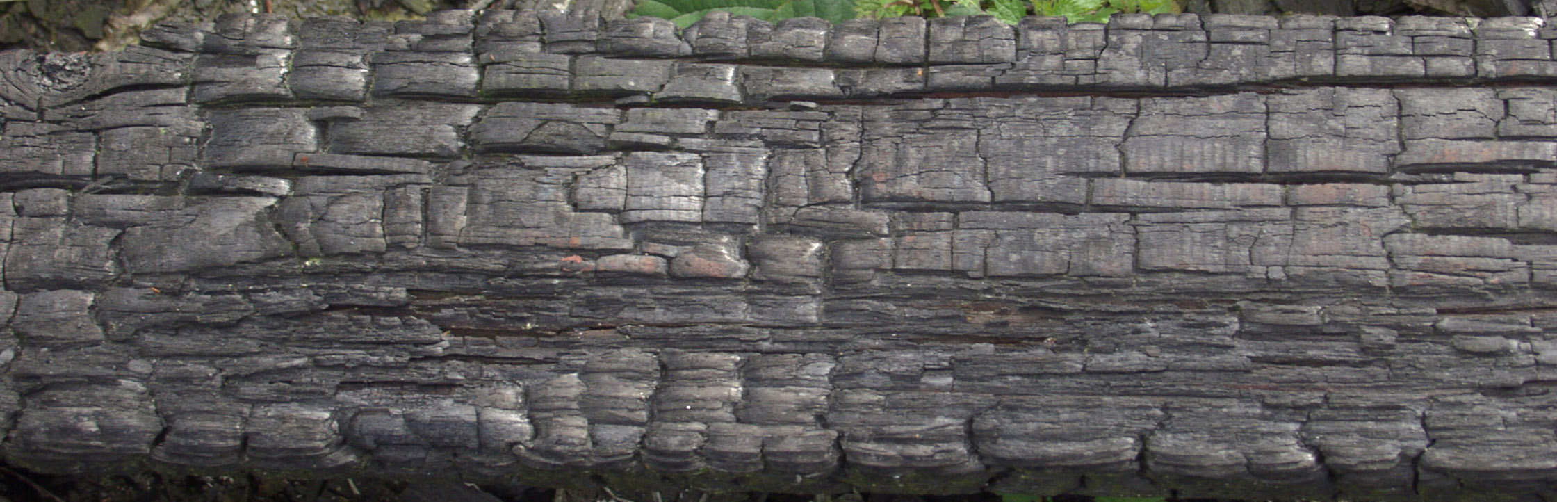 木材-燃烧过的-木梁(3)下载