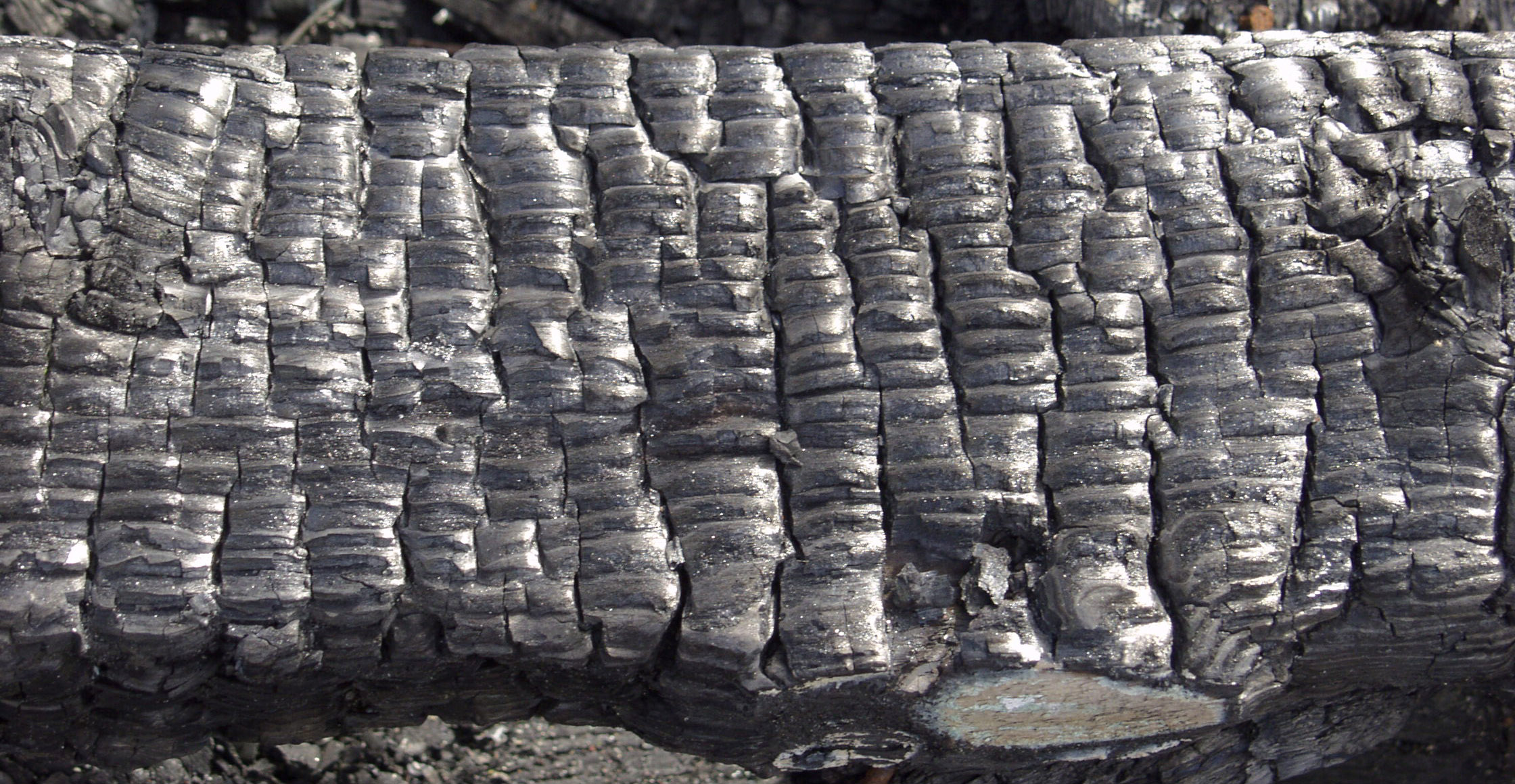 木材-燃烧过的-木梁(36)下载