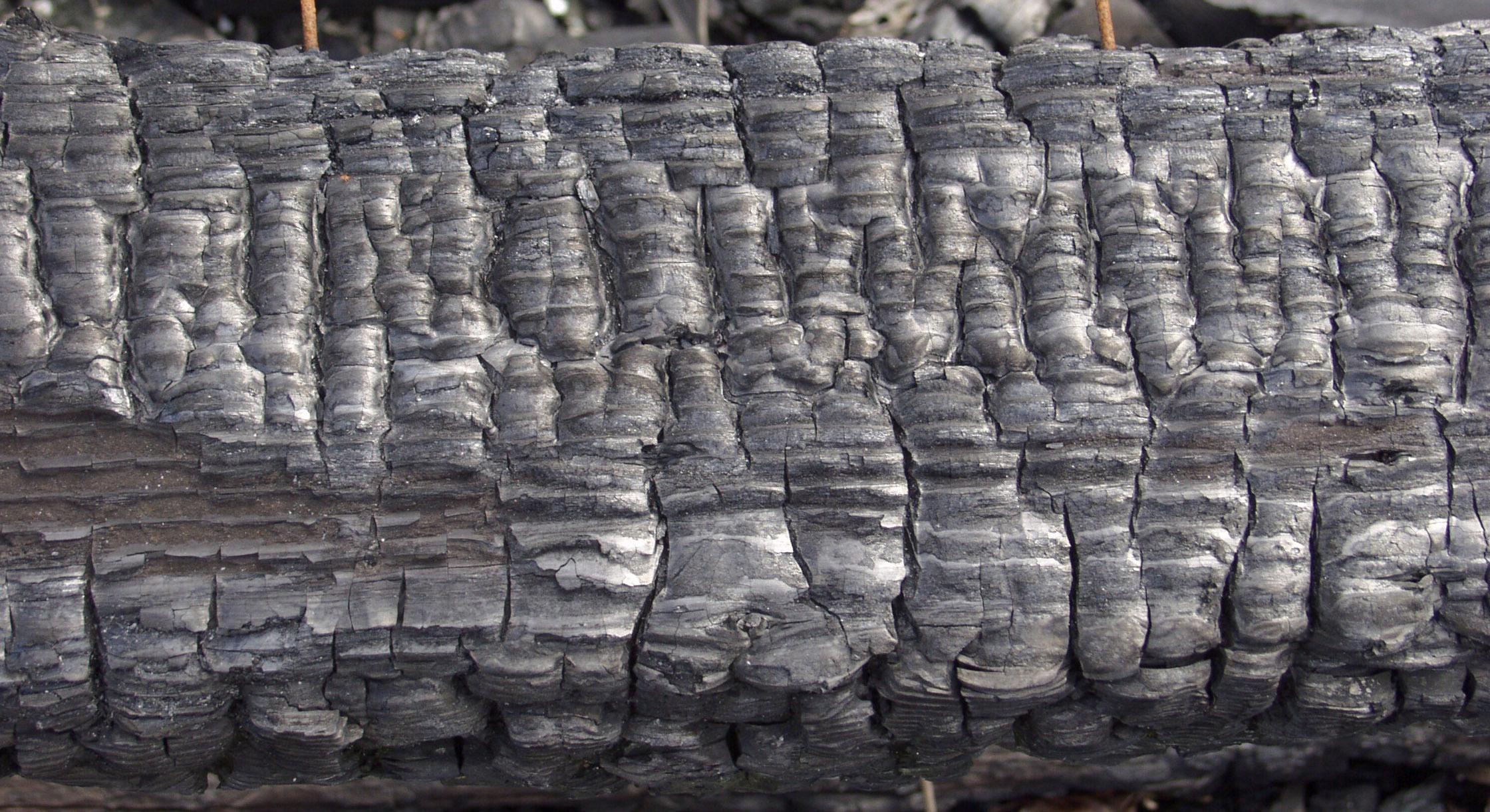 木材-燃烧过的-木梁(46)下载