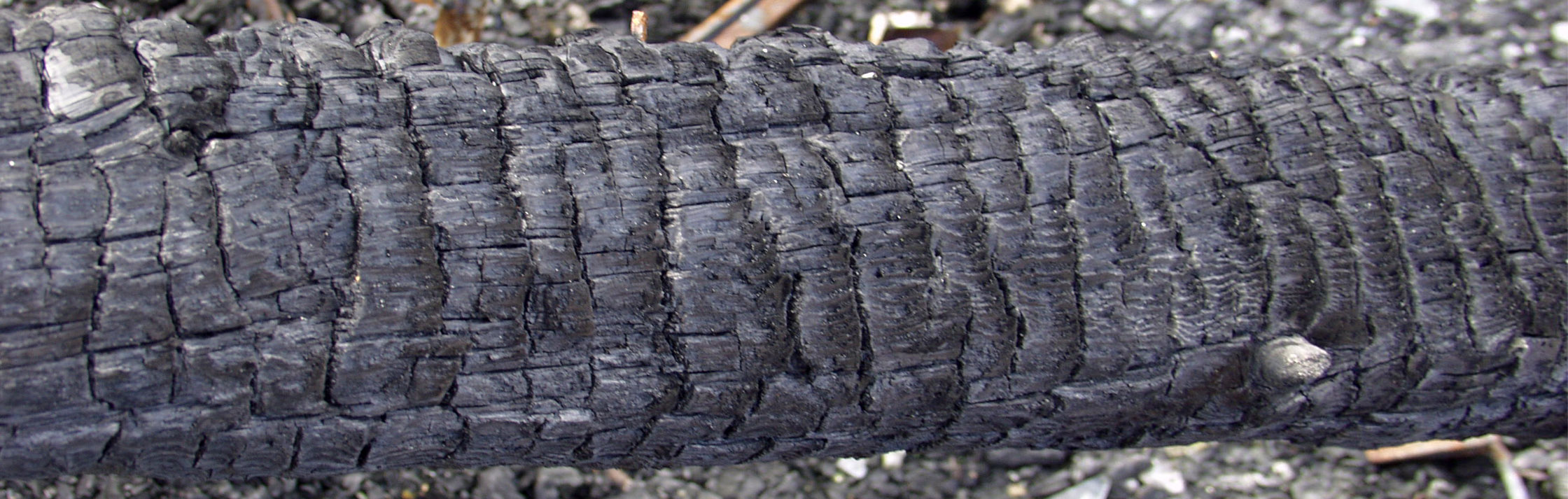 木材-燃烧过的-木梁(6)下载