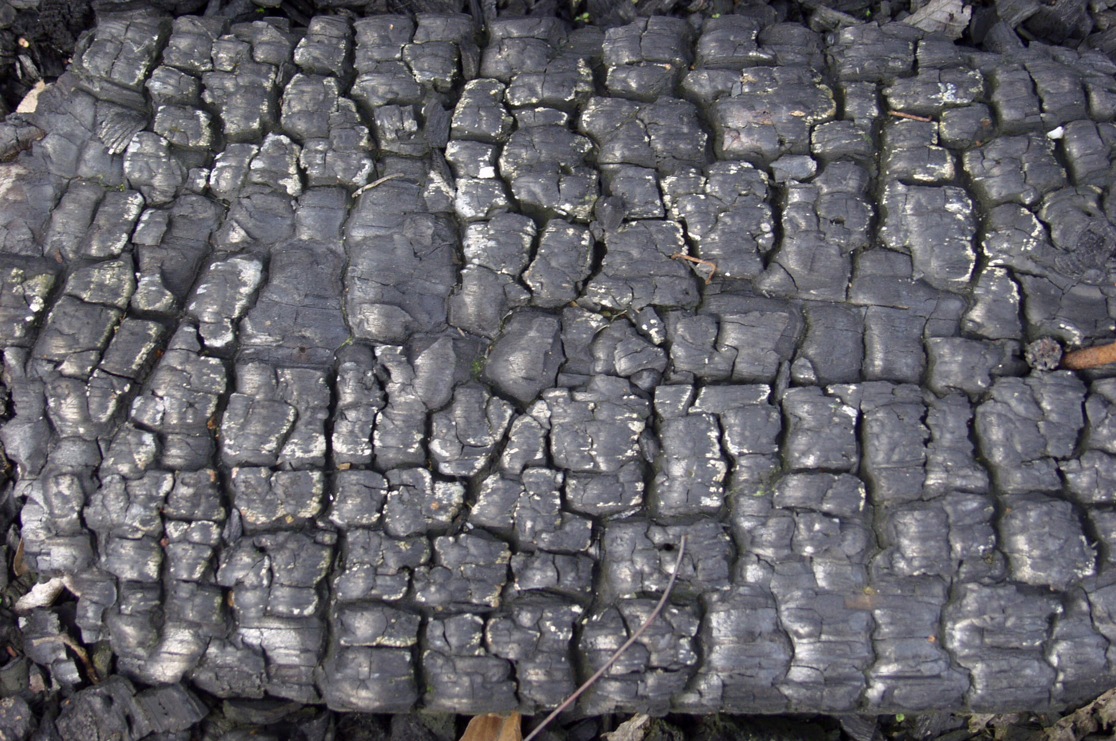 木材-燃烧过的-特写镜头(12)下载