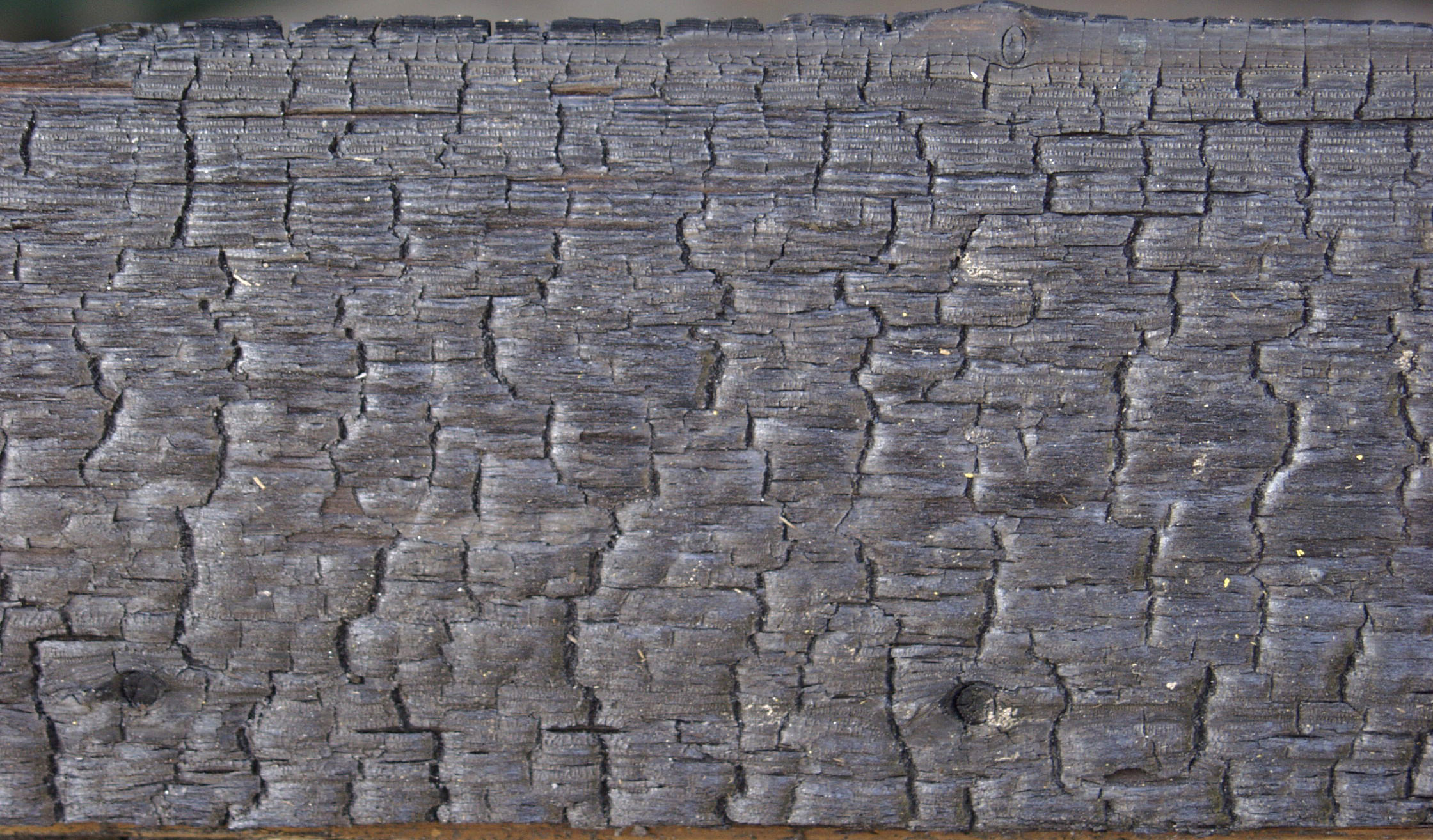 木材-燃烧过的-特写镜头(15)