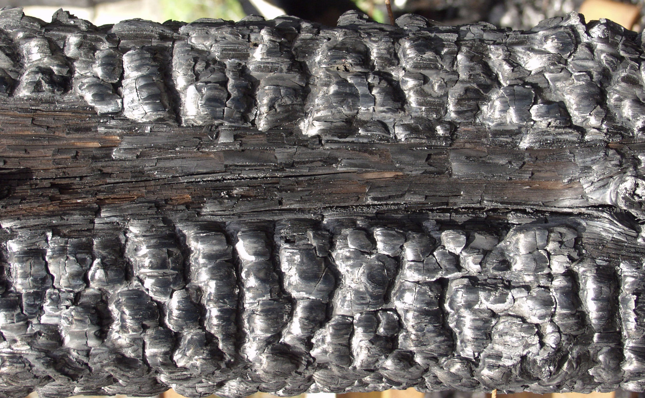 木材-燃烧过的-特写镜头(17)下载