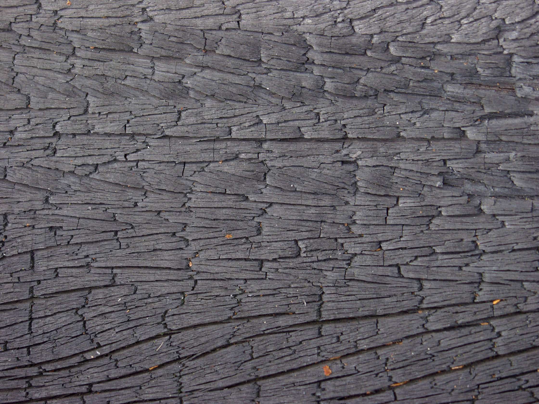 木材-燃烧过的-特写镜头(19)下载