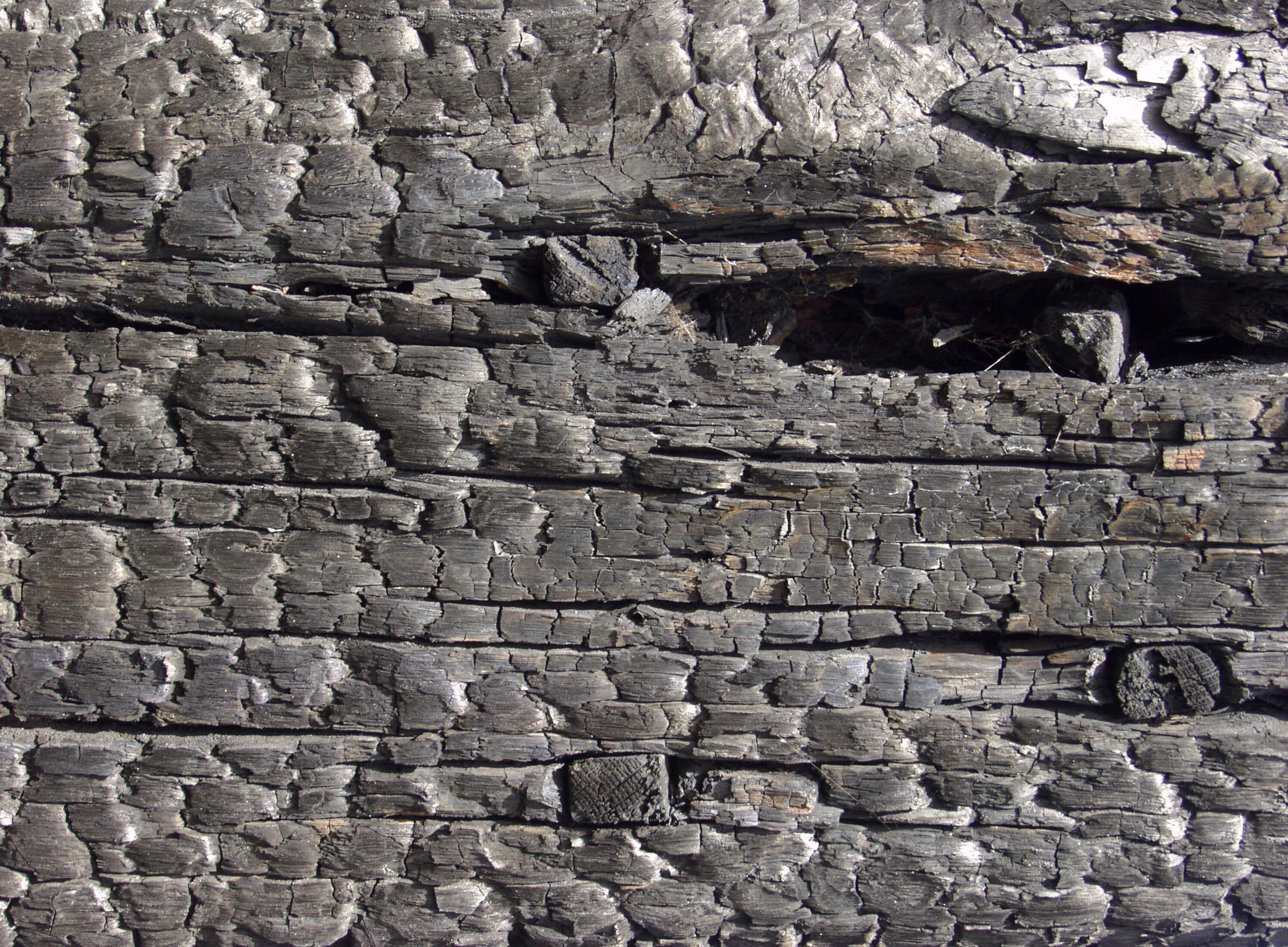 木材-燃烧过的-特写镜头(28)下载