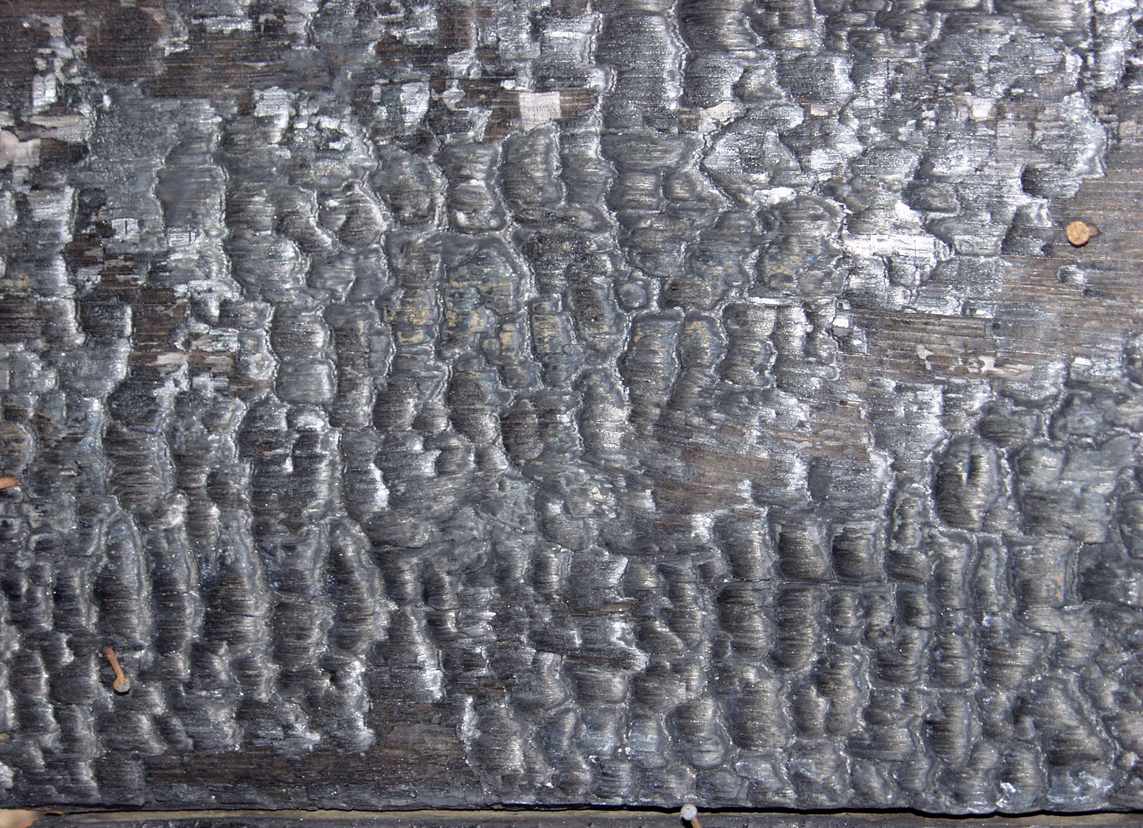 木材-燃烧过的-特写镜头(29)下载