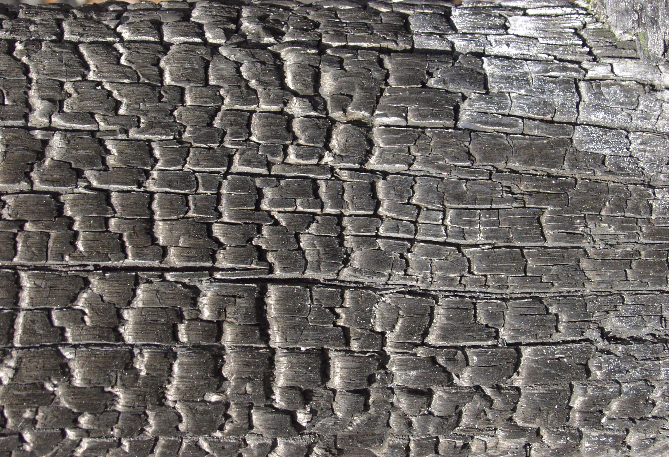 木材-燃烧过的-特写镜头(32)下载