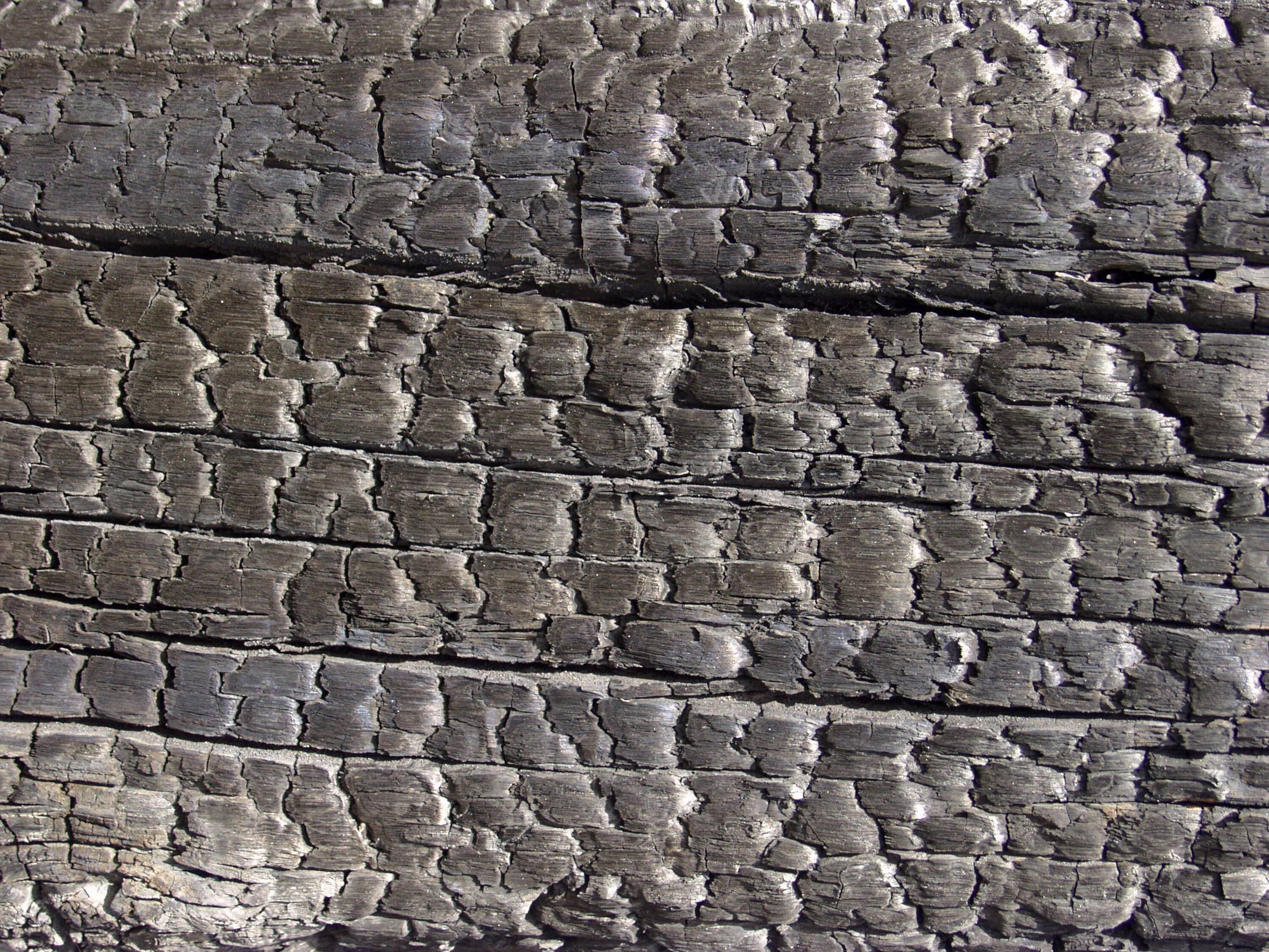 木材-燃烧过的-特写镜头(34)下载