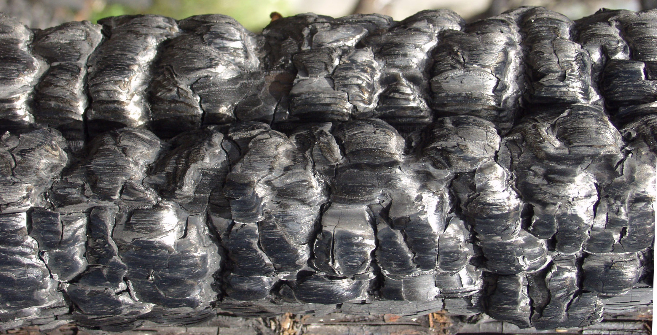 木材-燃烧过的-特写镜头(7)下载