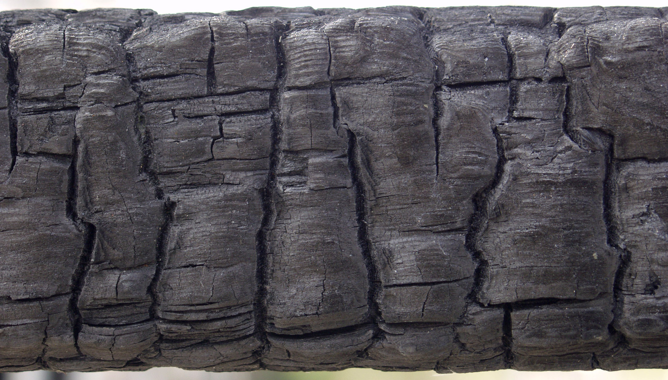 木材-燃烧过的-特写镜头(8)下载