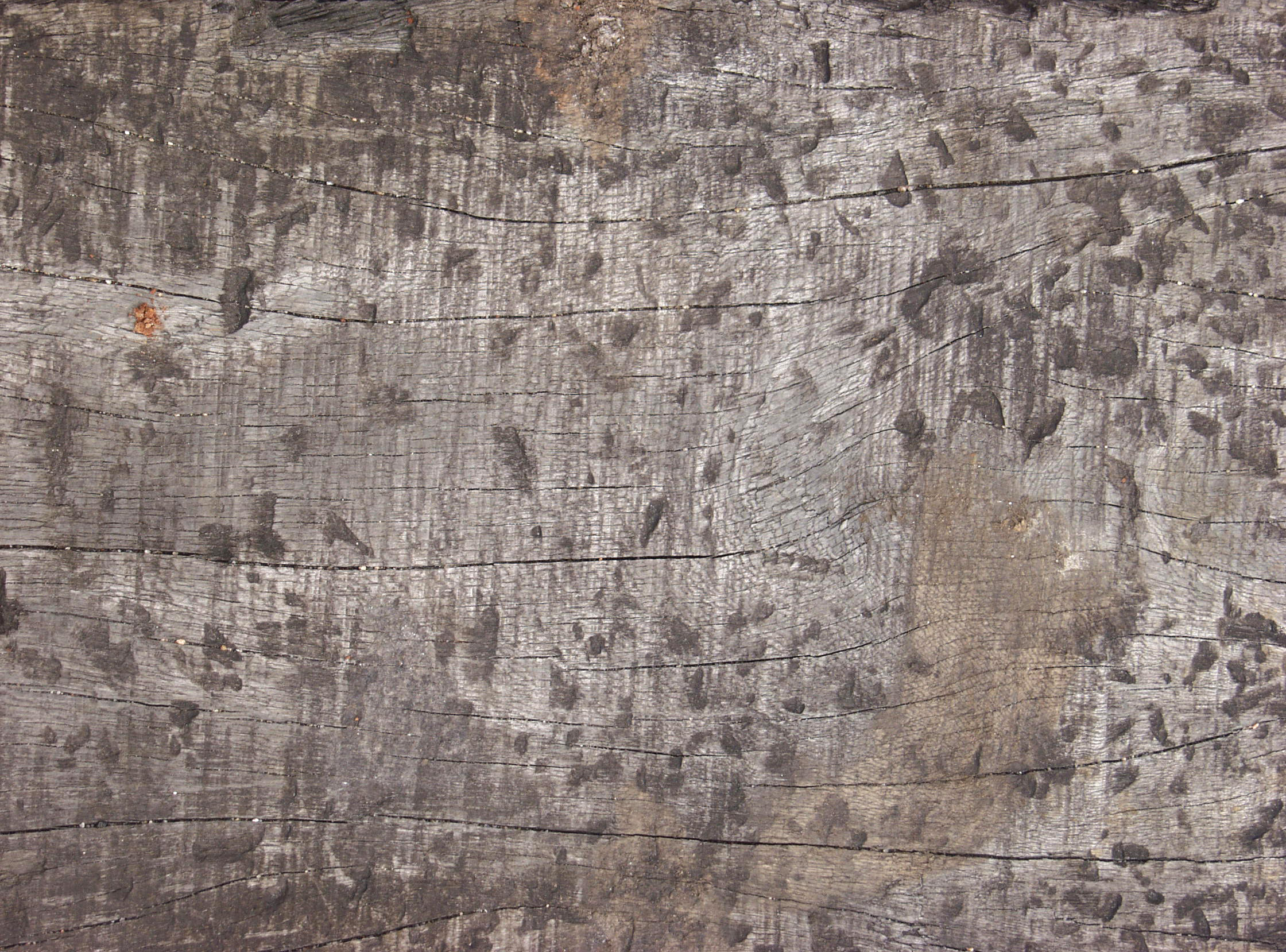 木材-残旧木(116)下载